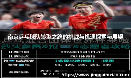 南京乒乓球队转型之路的挑战与机遇探索与展望
